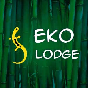 Geko Lodge - Chanchamayo