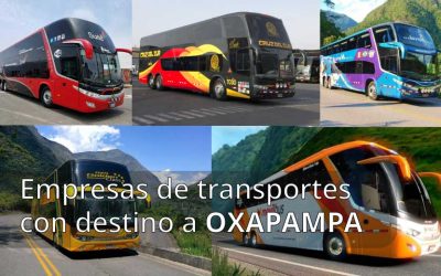 Empresas de transporte con destino a Oxapampa